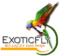 EXOTICFLY